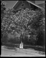 Boy and his dog stand beneath an oleander, Los Angeles (vicinity), 1935