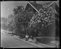 Children sit beneath oleanders along a residential parkway, Los Angeles vicinity, 1935