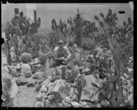 Neville Phillips tends to his cactus and rock garden, Glendale, 1935