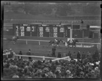 The Sports Book Renovation at Santa Anita Park - Arcadia, CA