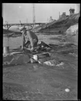 Antonio Chacon uses a sluice box to look for gold, Los Angeles, 1938