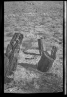 Petrified tree remains in a dessert, California, 1920-1940