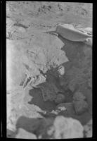 Excavated grave with human remains, California, 1920-1940