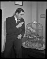 Deputy D. A. George Stahlman feeds a parrot, [Los Angeles vicinity?], 1920-1939