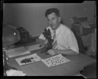 Dr. Emil Bogan, Chief pathologist of Olive View Sanatorium, with black widow spiders, Los Angeles, 1925