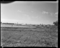 Santa Anita Park seen from a field behind the far turn, Arcadia, 1936