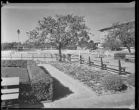 Paddock in front of the grandstand at Santa Anita Park, Arcadia, 1936