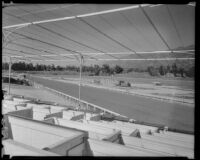 View toward the main track from the clubhouse at Santa Anita Park, Arcadia, 1936