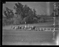 Horses rounding the curve at the quarter pole on Christmas Day at Santa Anita Park, Arcadia, 1935