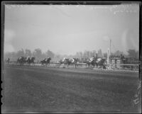 Race horse "Top Row" wins the Santa Anita Handicap race, Arcadia, 1936