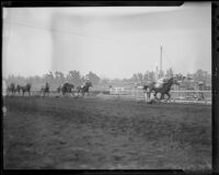 "Time Supply" winning the San Antonio Handicap at Santa Anita Park, Arcadia, 1936