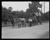 Covered cart pulled by 2 oxen in the Old Spanish Days Fiesta parade, Santa Barbara, 1935