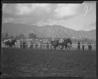 Horses racing at Santa Anita Park the month it opened, Arcadia, 1934