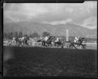 Horses racing at Santa Anita Park the year it opened, Arcadia, 1934