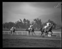 Horses racing at Santa Anita Park the year it opened, Arcadia, 1934