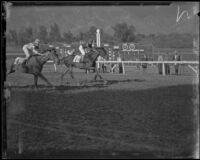 Horses racing at Santa Anita Park the month it opened, Arcadia, 1934