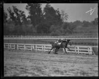 Horses racing at Santa Anita Park the month it opened, Arcadia, 1934