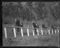 Horses racing at Santa Anita Park the month it opened, Arcadia, 1934