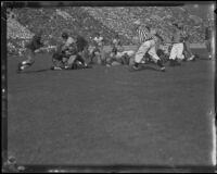 Football Game between the UC Berkeley Golden Bears and USC Trojans at the Coliseum, Los Angeles, 1934