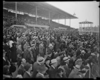 Spectators in the grandstand at Santa Anita Park on Christmas, the first day it opened, Arcadia, 1934