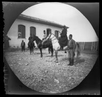 Mr. Pappus and Eugene Rodigas at a model farm, Sivas vicinity, Turkey, 1891