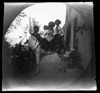 Four missionary children on a white donkey with its keeper, Tabrīz, Iran, 1891