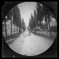 William Sachtleben riding a bicycle on the road leading to the Greek Cemetery, Athens, 1891