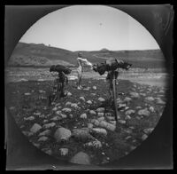 William Sachtleben preparing to bathe in a stream en route from Şebinkarahisar to Kelkit, (Kelkit vicinity?), Turkey, 1891