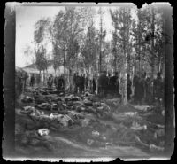 Armenian massacre victims laid out in the Armenian Gregorian Cemetery, Erzurum, Turkey, 1895