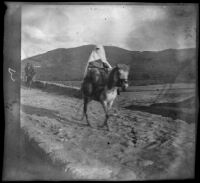 Turkish woman riding a horse on a road, Bursa, Turkey, 1895