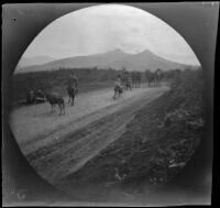 William Sachtleben walking his bicycle on the road from Beypasari to Ankara, Turkey, 1891