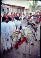 Baraat wedding procession - Kacchi pony awaits a bridegroom, Belgaum (India), 1984