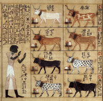 Section of the Book of the Dead papyrus of Maiherperi