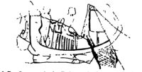 Earliest representation of a sailing boat