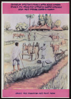 Poster in Amharic depicting a field of cattle, herders, and a veterinarian artificially inseminating a cow [descriptive]