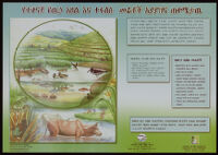 Poster chiefly in Amharic depicting an illustration by Gherma Haregou of two river scenes [descriptive]