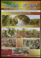 Poster chiefly in Amharic depicting cultivated crops that include mango, coffee, and cardamom [descriptive]