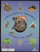 Poster in Amharic depicting a hand pouring coffee or tea, plantlife, chickens, condoms, and people in front of a hut [descriptive]