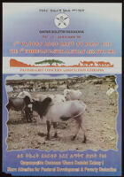 4th Ethiopian Pastoralist Day Assayita 2002
