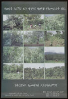 Poster chiefly in Amharic depicting forests, people performing agricultural work in forests, and agricultural plots in forests [descriptive]