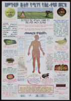Poster chiefly in Amharic about pesticides depicting various foods and the human body [descriptive]