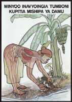 Poster with an illustration of a woman with parasites pulling plants from the ground beside a river [descriptive]