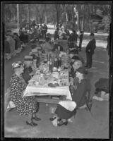 Attendees of the annual Iowa Picnic in Lincoln Park sit at picnic tables, Los Angeles, 1936