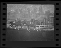 Jockeys riding their horses at the Santa Anita race track, Arcadia, ca. 1934
