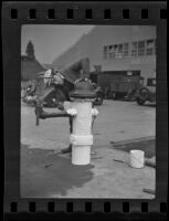 Man painting a fire hydrant, Arcadia (?), 1935