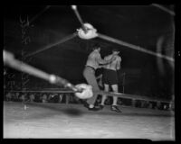 Art Lasky and Frank Wallulis fight at Hollywood Legion Stadium, Los Angeles, 1936