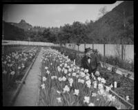 Henry O'Melveny in his garden in Stone Canyon, Los Angeles, 1936