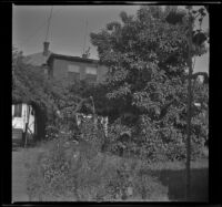 Rear view of the home at 2223 Griffin Avenue, Los Angeles, 1942