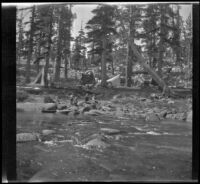 Shirleyana Shaw (probably), H. H. West, Jr., Mertie West and Agnes Whitaker camping in Tuolumne Meadows, 1929