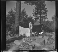 H. H. West's tent at a campsite, Toms Place, 1942